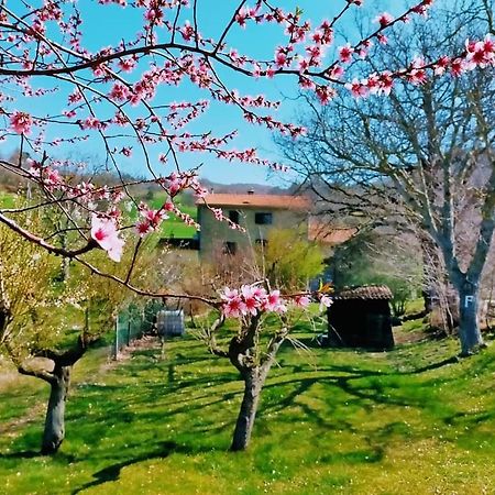 B&B Luna E Stelle Премилкуоре Екстериор снимка