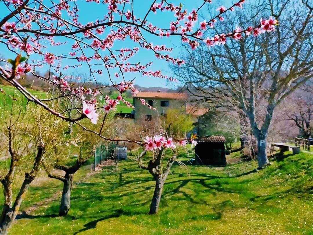 B&B Luna E Stelle Премилкуоре Екстериор снимка
