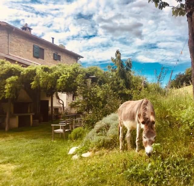 B&B Luna E Stelle Премилкуоре Екстериор снимка